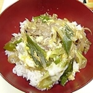 牛肉と葱のうま煮